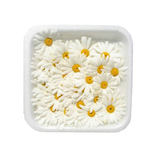 EG Blüten Margariten weiss Schale