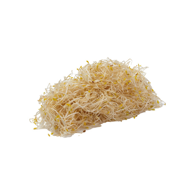 Bio Alfalfa Sprossen 100g 4 Pkg.