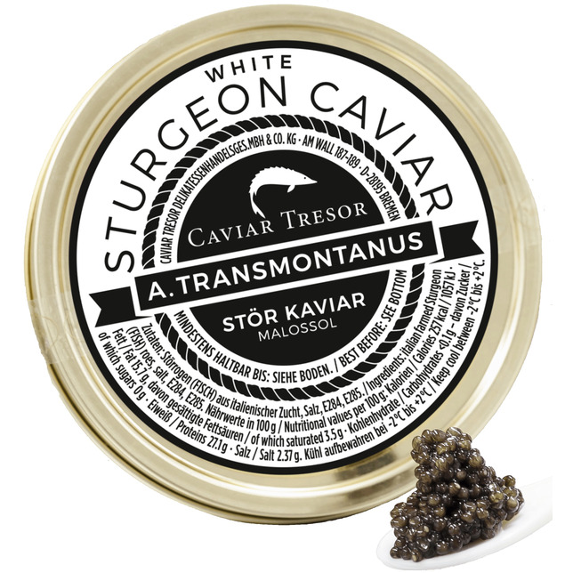 Caviar Ossietra Italien, vom Weißen Stör - 500g CT