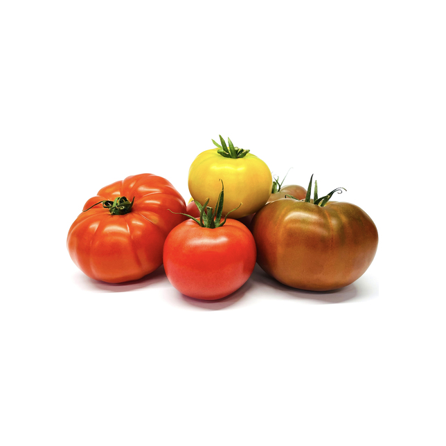 Tomaten Fleisch Rustico ( farbig )