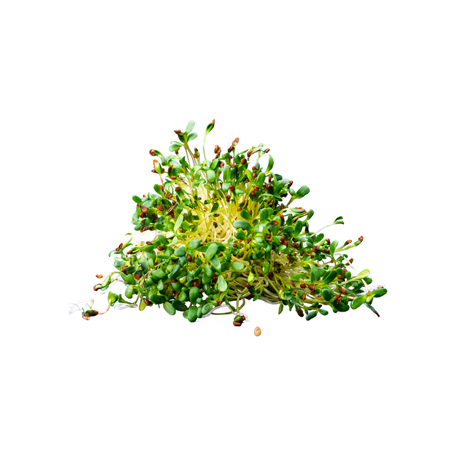 ESPRO Sprossen Broccoli 250 g