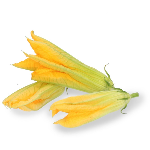 Zucchini-Blüten ca.10Stk.  ITA