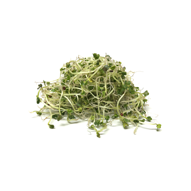 Sprossen Broccoli 100 g