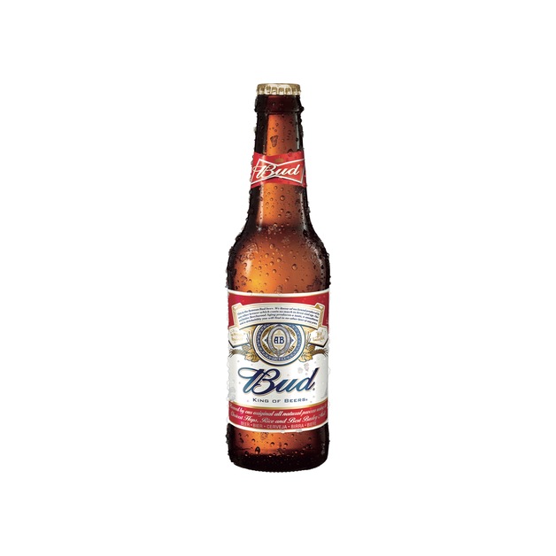 American Bud Beer aus den USA 6 x 0,33 l