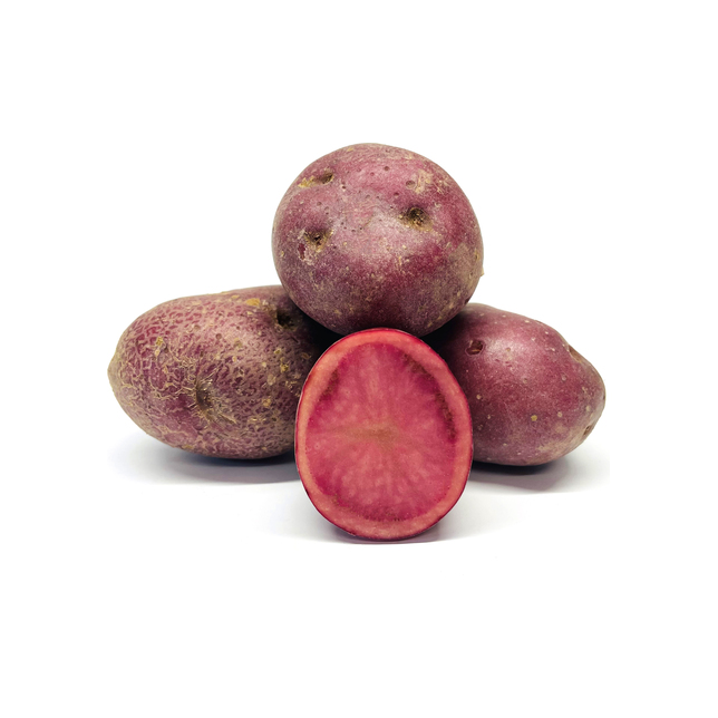Kartoffeln Mulberry Beauty 35/55