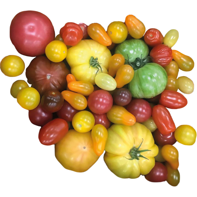 Tomaten Inca mix 3,5kg Kl.I ES