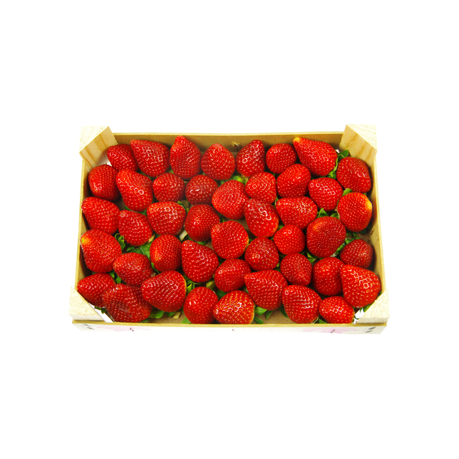 Beeren Erdbeeren 1kg