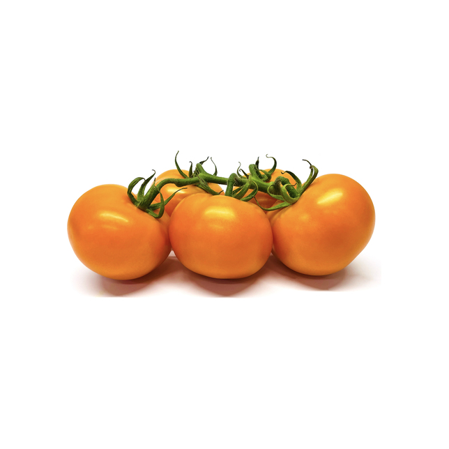 Tomaten Ramati orange Spezial