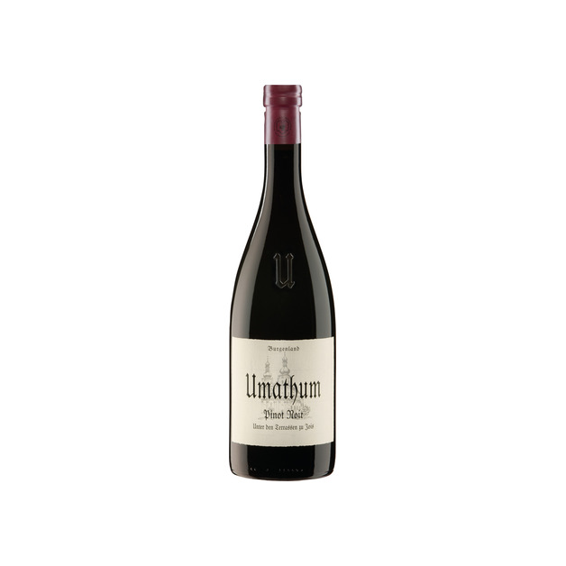 Umathum Pinot Noir Unter den Terrassen zu Jois 2019 0,75 l