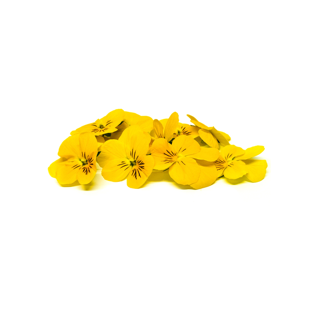 Blüten Stiefmütterchen gelb