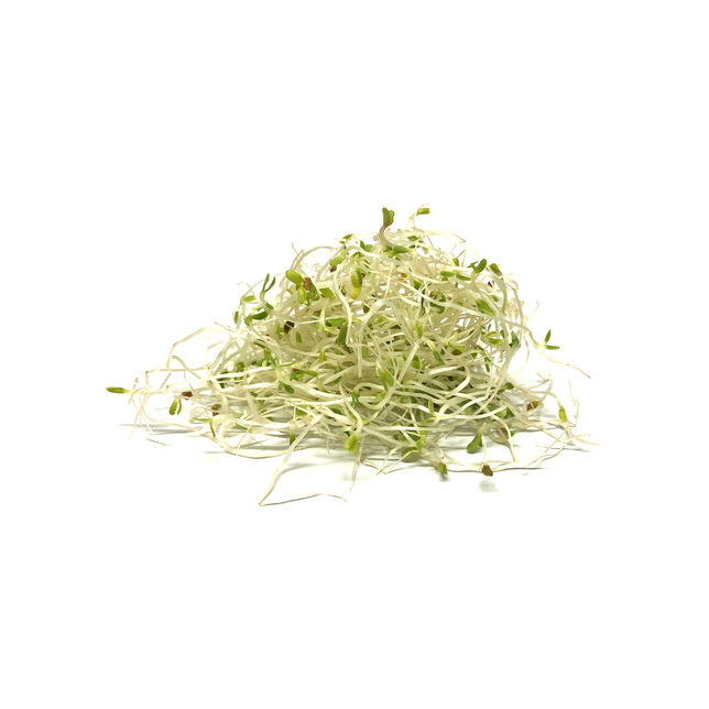 Sprossen Alfalfa 100 g