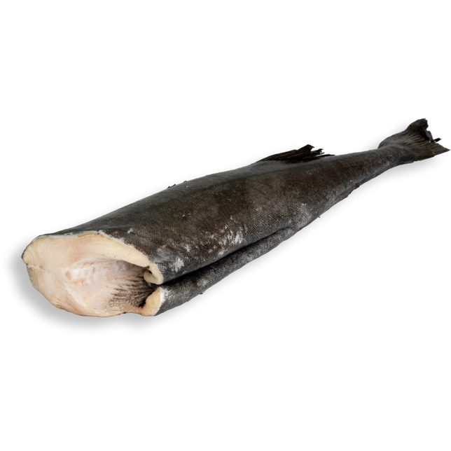 Black Cod Sablefish 2-3kg ohne Kopf TK
