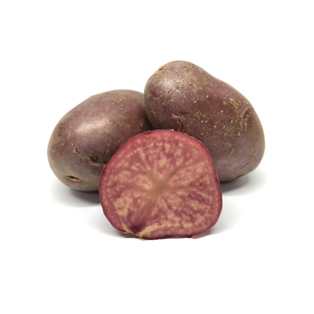 Kartoffeln Lily Rose 35/55
