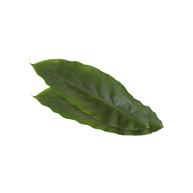 Koppert Cress Cardamom Leaves