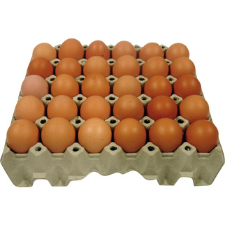 Eier Bodenhaltung Gewichtsklasse L 360 Stück