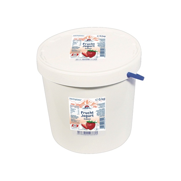 Kärntnermilch Fruchtjoghurt Erdbeer 5 kg