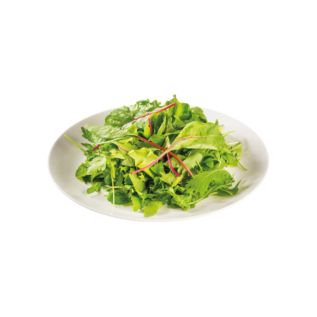 Baby-Leaf 800g                Kl.I ITA