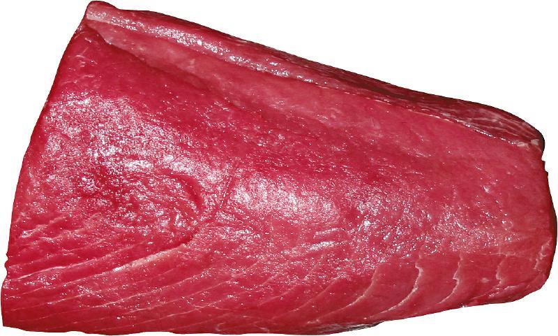 Natural TR. Hundefutter Adult Mini – Thunfisch/Reis/Algen, 2 Kg, Für Kleine Erwachsene Hunde