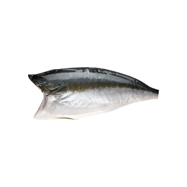 ASC Hiramasa Kingfishfilet mit Haut 500-750g in Aquakultur gewonnen Niederlande 500-750 g