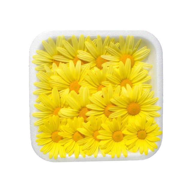 EG Blüten Margariten gelb Schale