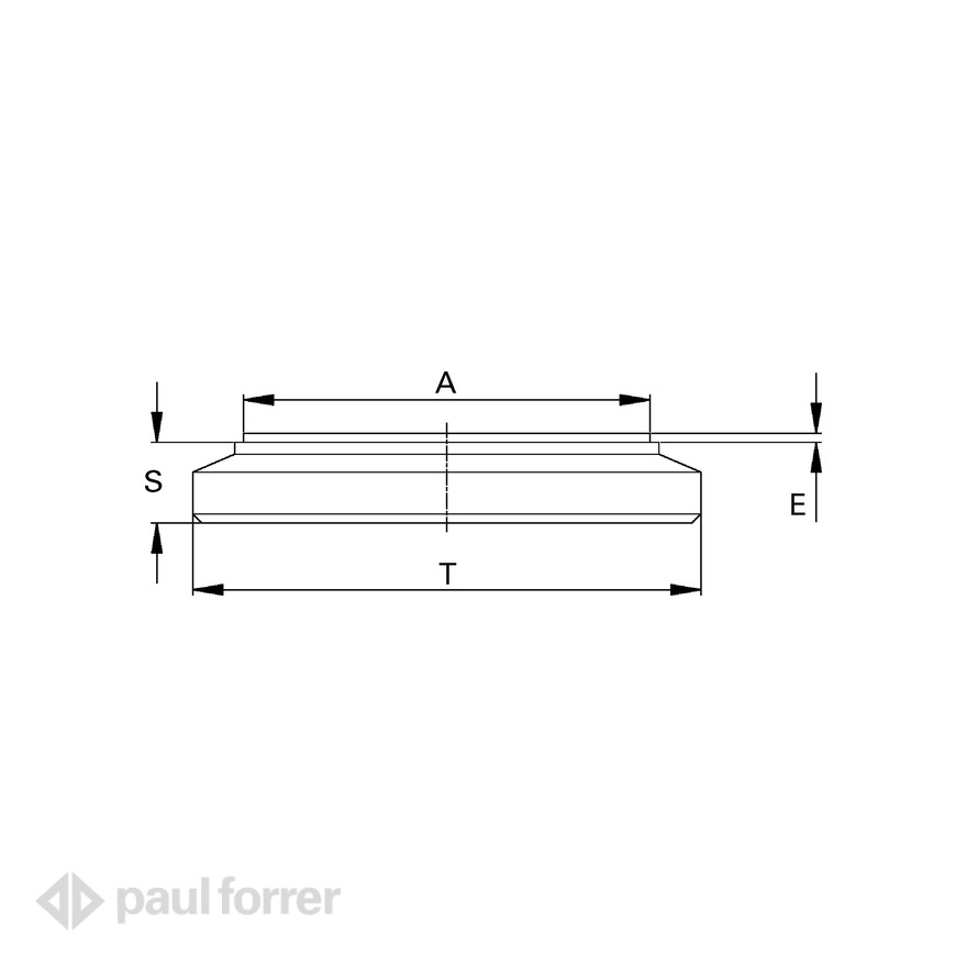 Paul Forrer AG - Standardzylinder