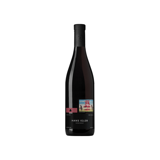 Igler Pinot Noir Ried Fabian 2020 0,75l
