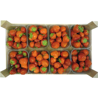 Erdbeeren per 500g Tasse        Kl.I  GR