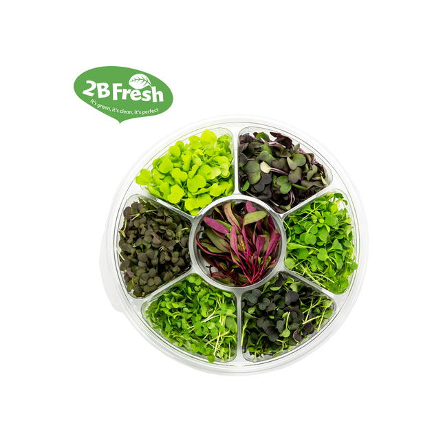 Micro Leaves Select (gemischt) 100 g