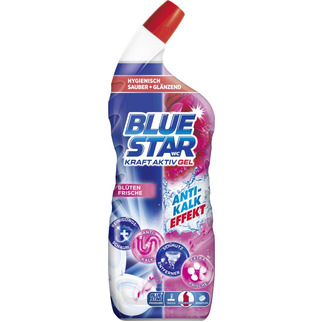 Blue Star WC Reiniger Blütenfrische 700ml