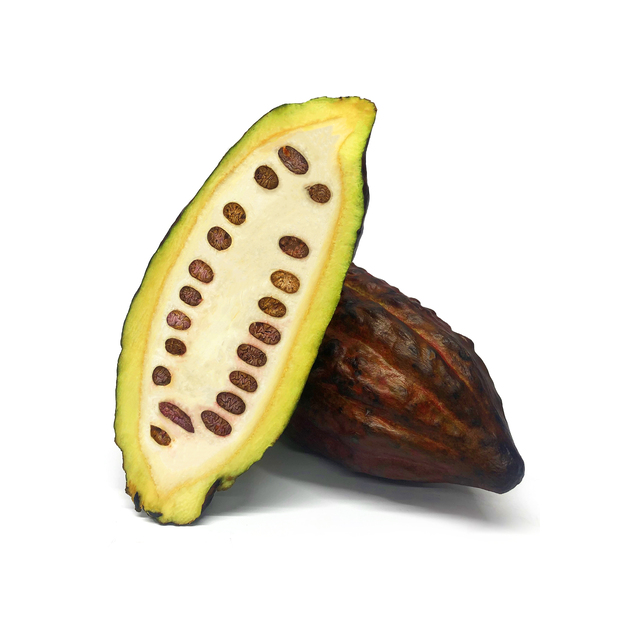 Kakao Frucht (Schote)