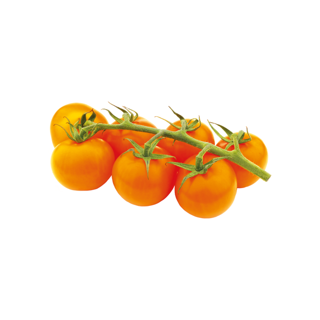 Strauchtomaten orange  Kl.I NL