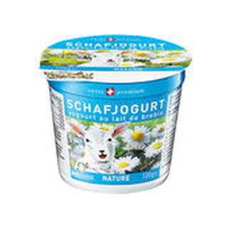 Joghurt Schafmilch Bio nature 5 x 120 gr