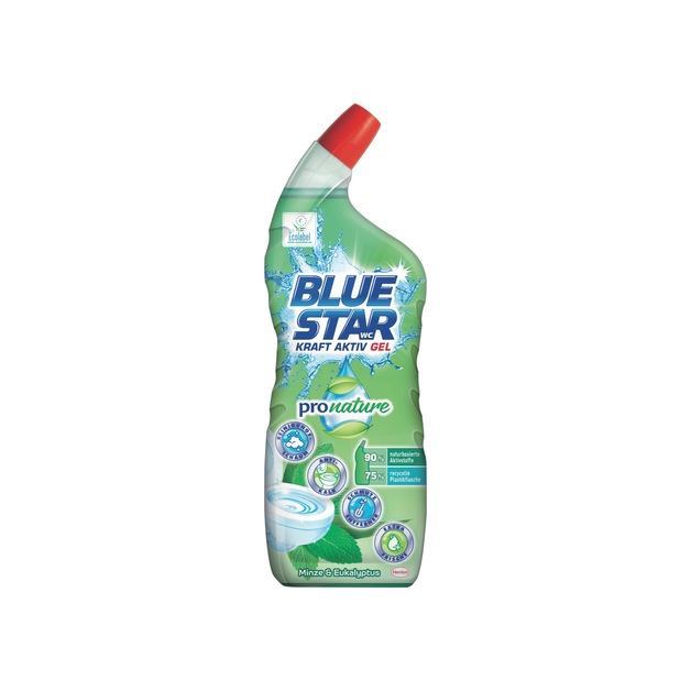 Blue Star WC Reiniger Kraft Aktiv Gel Pro Nature Minze 700 ml