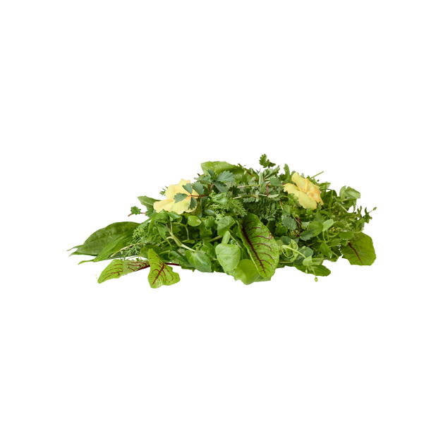 Wildkräuter Salat mit Blüten KL. 1 100 g