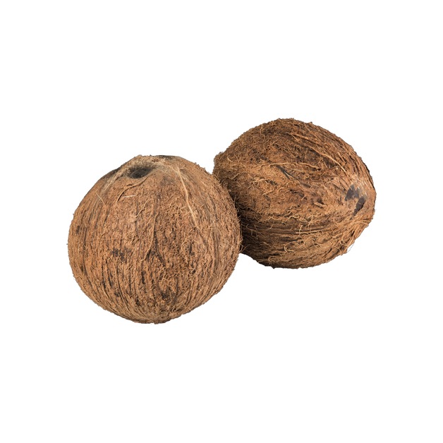 Kokosnüsse Kl.1 1 Stk.