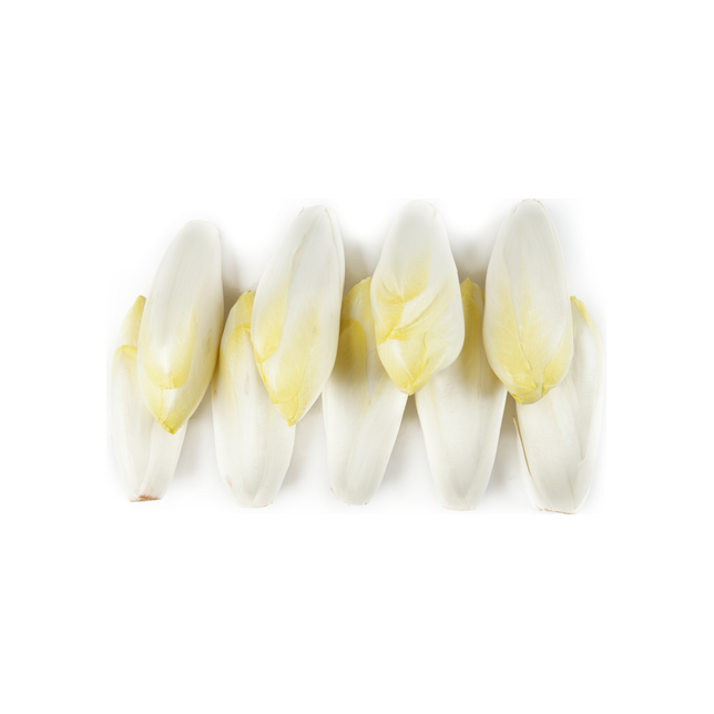 Chicorée blanc endive Belge 500g