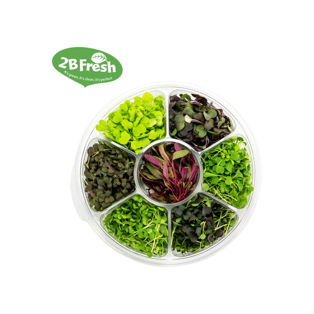 Micro Leaves Select (gemischt) 100 g