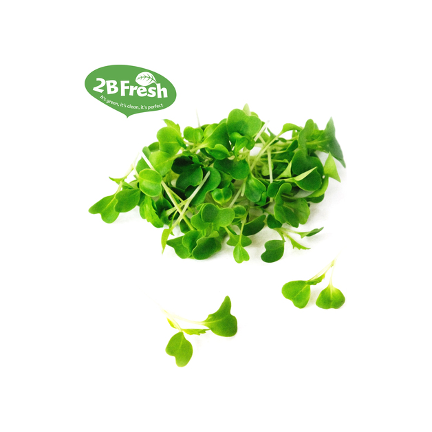 Micro Leaves Mizuna grün 40 g