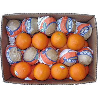 Orangen Navel lose 15kg behandelt   Kl.I  ES