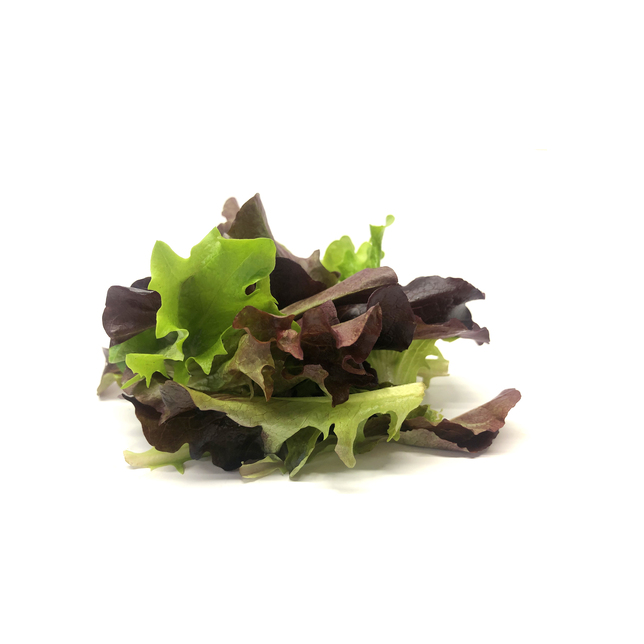 Baby Leaf (Standard) Schnittsalat