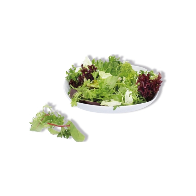 Salat Special Wedl 500g (Lollo Rosso/Lollo Bionda/Mangold/