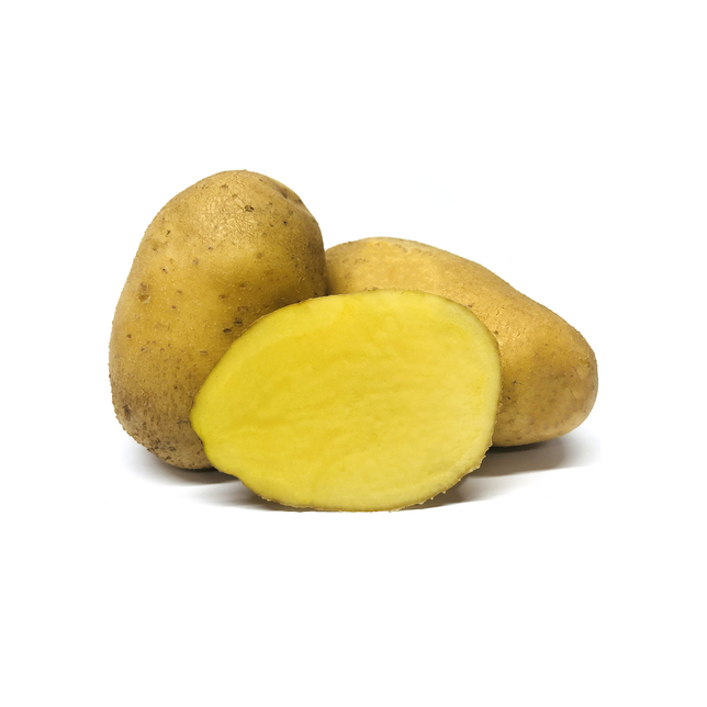 Kartoffeln festkochend Jumbo