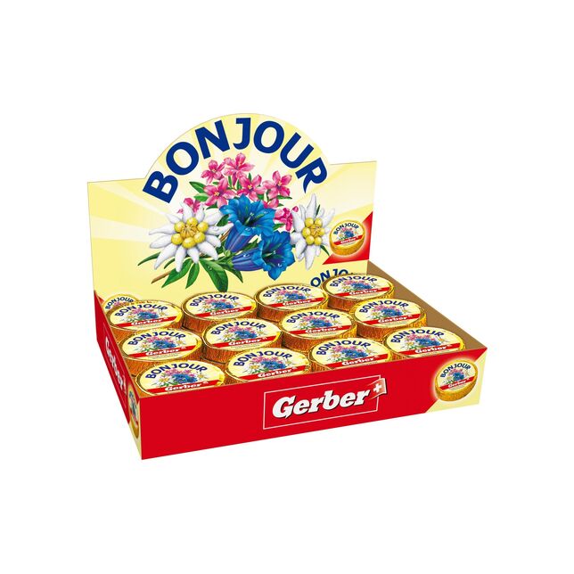 Streichschmelzkäse Bonjour Gerber 24x25g