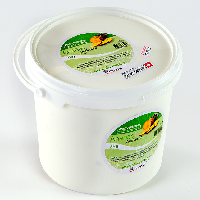 Joghurt Ananas BeO 3kg