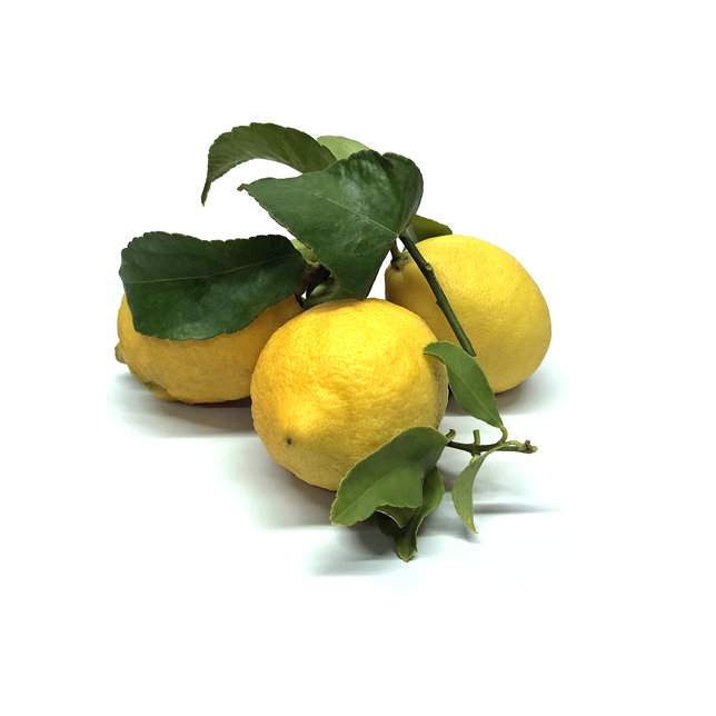 Zitronen mit Blatt (Amalfiregion)