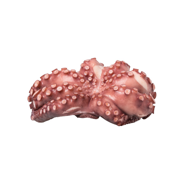 Octopus Pulpo 500g+ gekocht gefangen im Ostzentralatlantik ca. 750 g