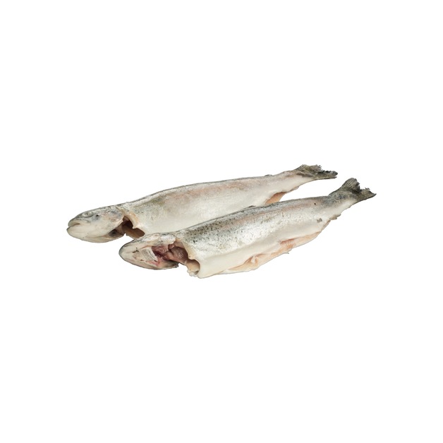 Forelle ohne Mittelgräte 240 - 260 g tiefgekühlt 4,5 kg