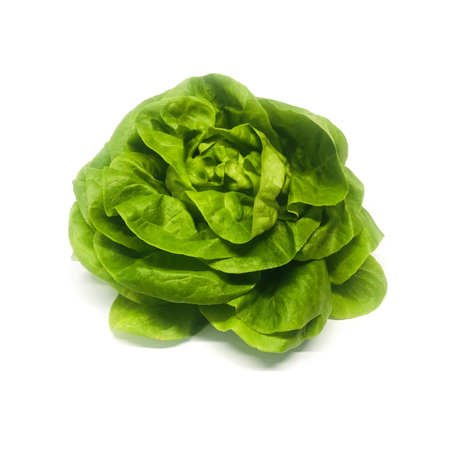 Kopfsalat grün 8 er