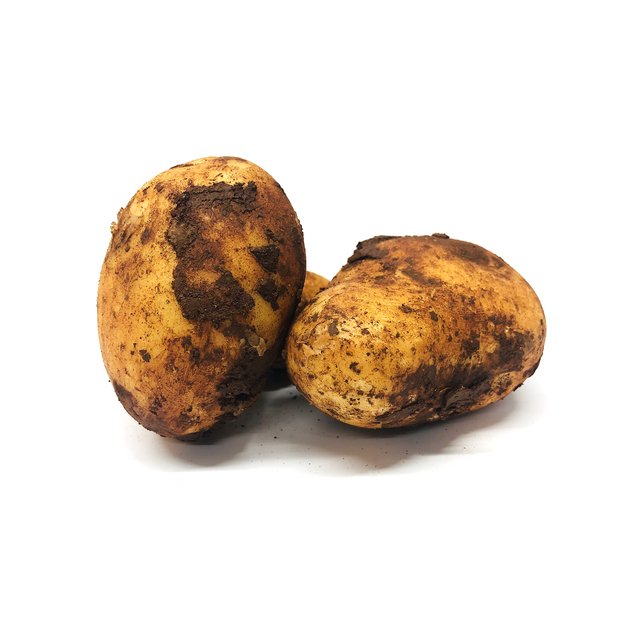 Frühkartoffeln ungewaschen 35-55mm