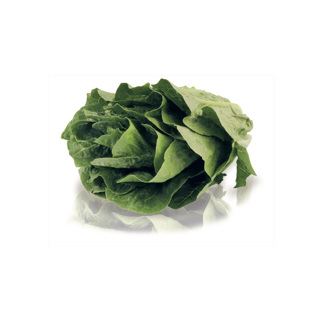 Romana Salat KL.1 300 g
